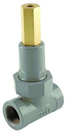 Blackmer 331908 With Oil Seal Fireplace