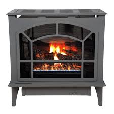 Buck Stove Townsend II 27" Gray Steel Series Liquid Propane Gas Stove