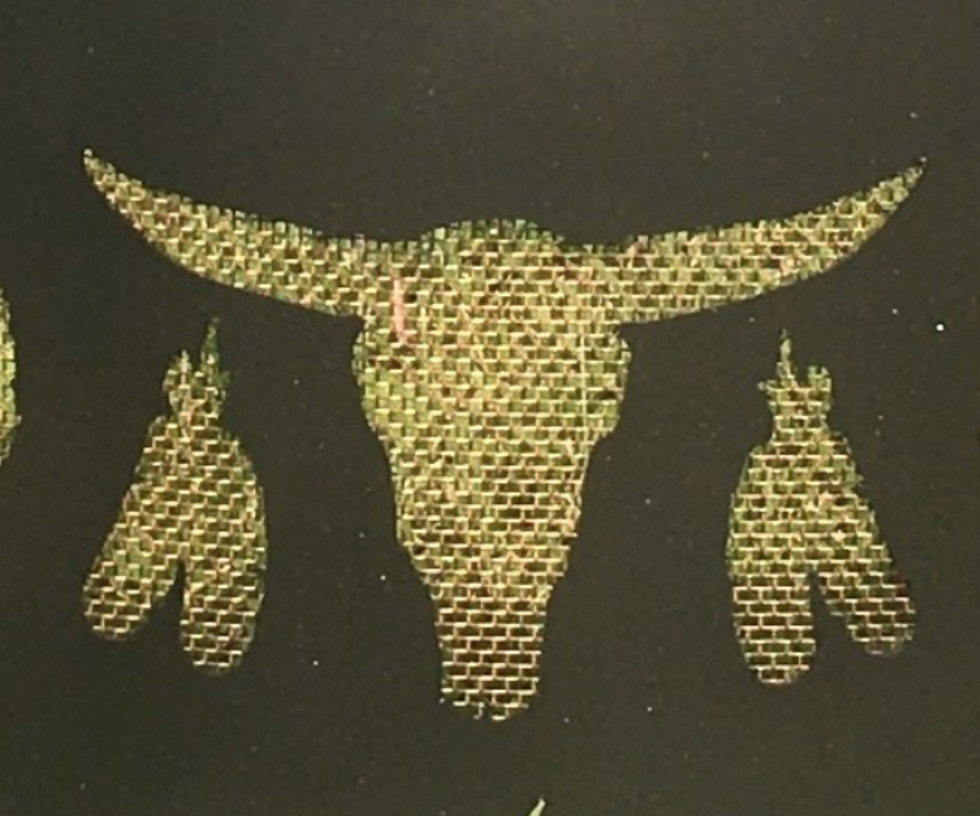 Custom Firescreen Buffalo Fire Ring