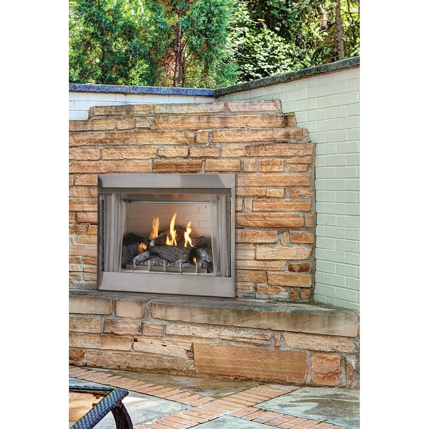 Empire Carol Rose Coastal 42" Stainless Steel Intermittent Pilot Control, Natural Gas Traditional Premium Outdoor Fireplace