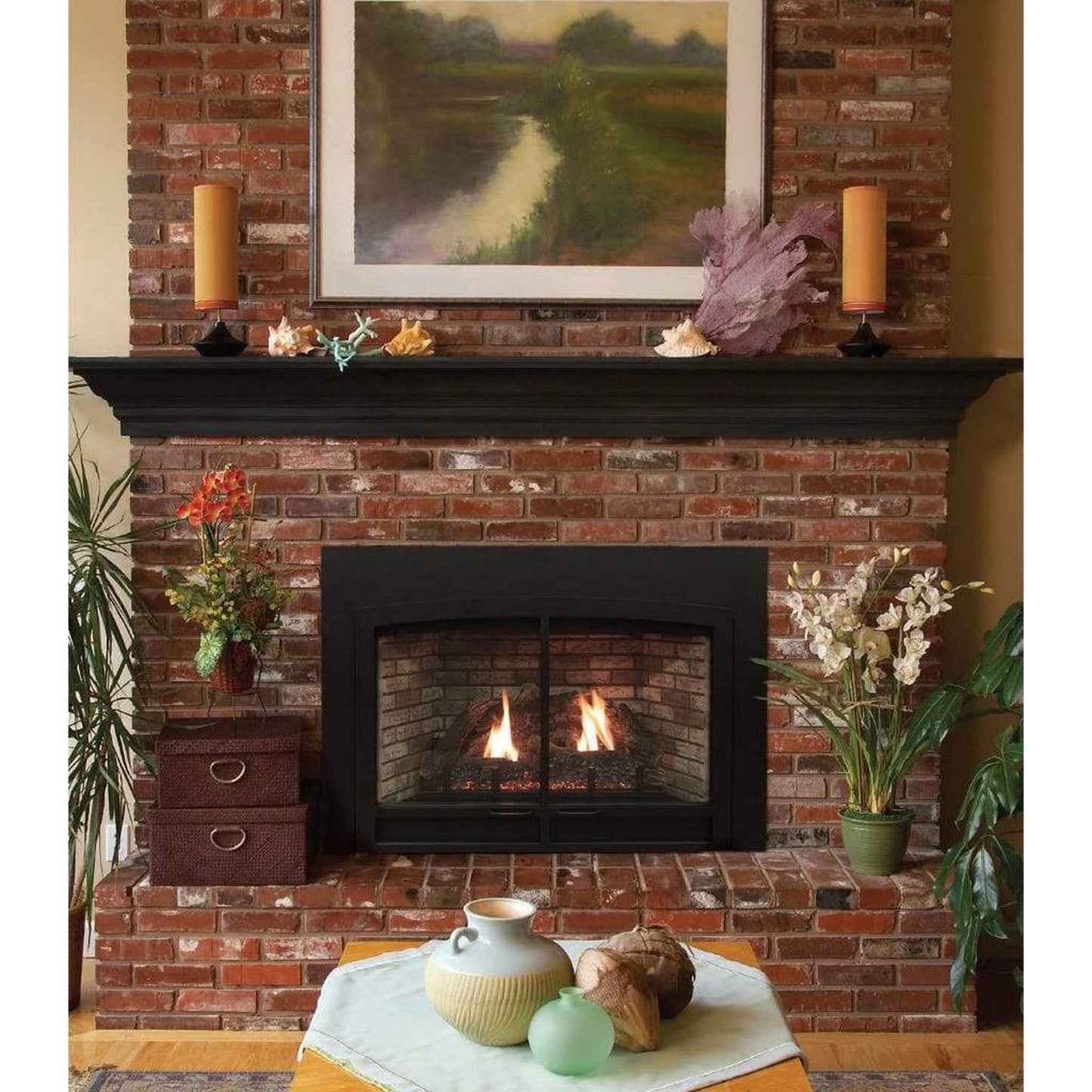 Empire Innsbrook 34" Large Direct Vent Clean Face Millivolt Control, Propane Gas Traditional Fireplace Insert