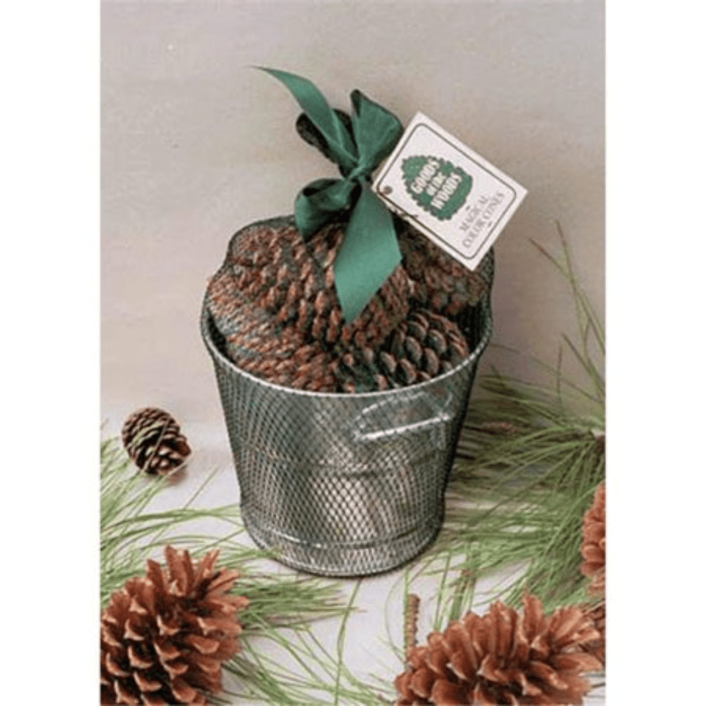 Goods of the Woods 1lb Galv Bucket Magic Color Cones for Wood Fires