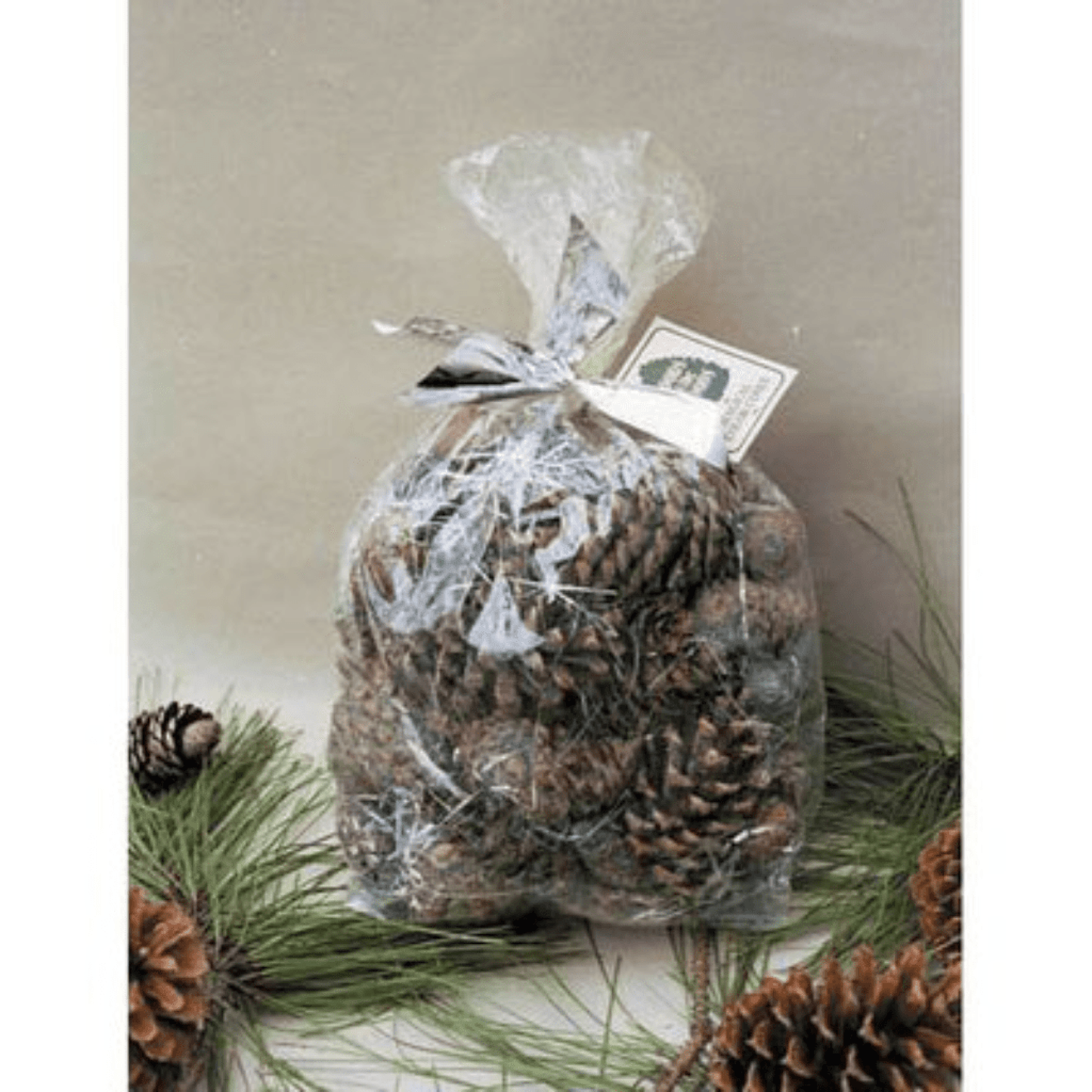 Goods of the Woods Cones Cello Bag Magic Color Cones for Wood Fires