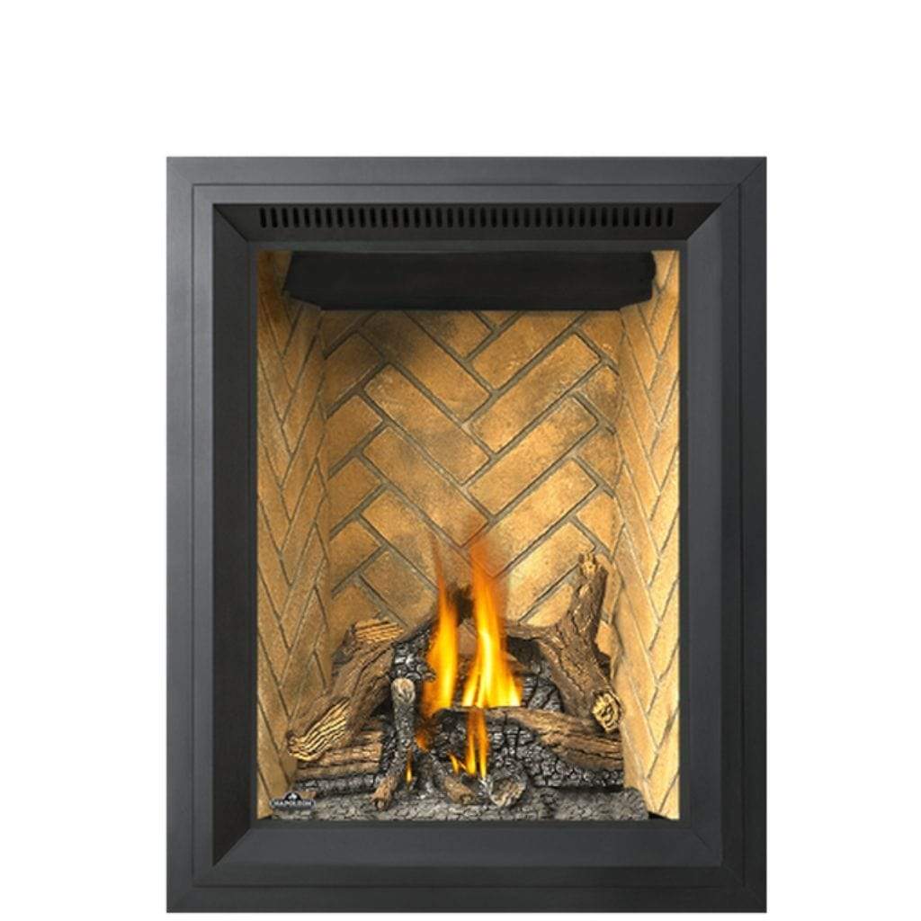 Napoleon Elevation x 36 Direct Vent GAS Fireplace, Liquid Propane