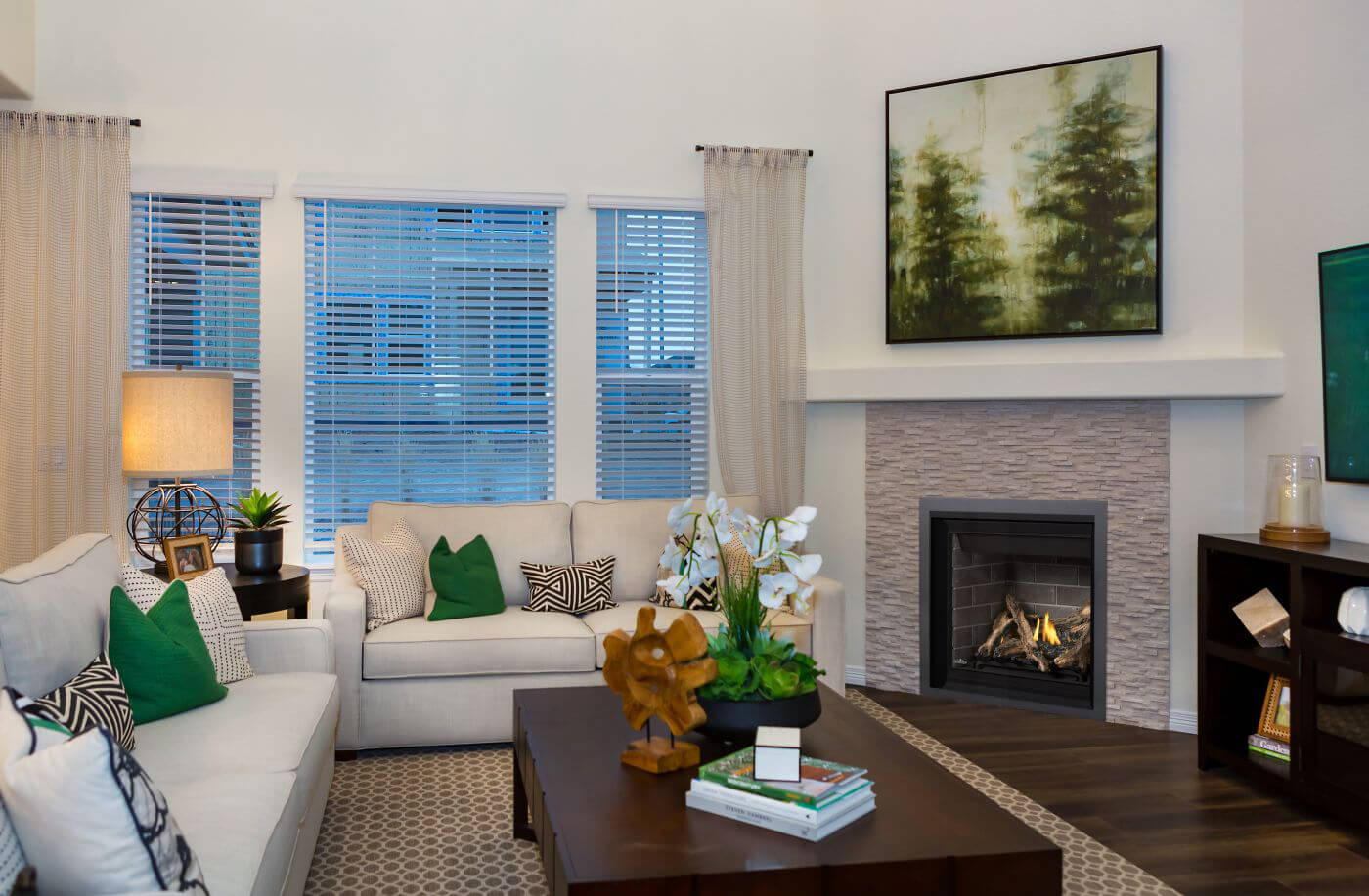 Napoleon Altitude 36" Electronic Ignition, Propane Gas Direct Vent Fireplace