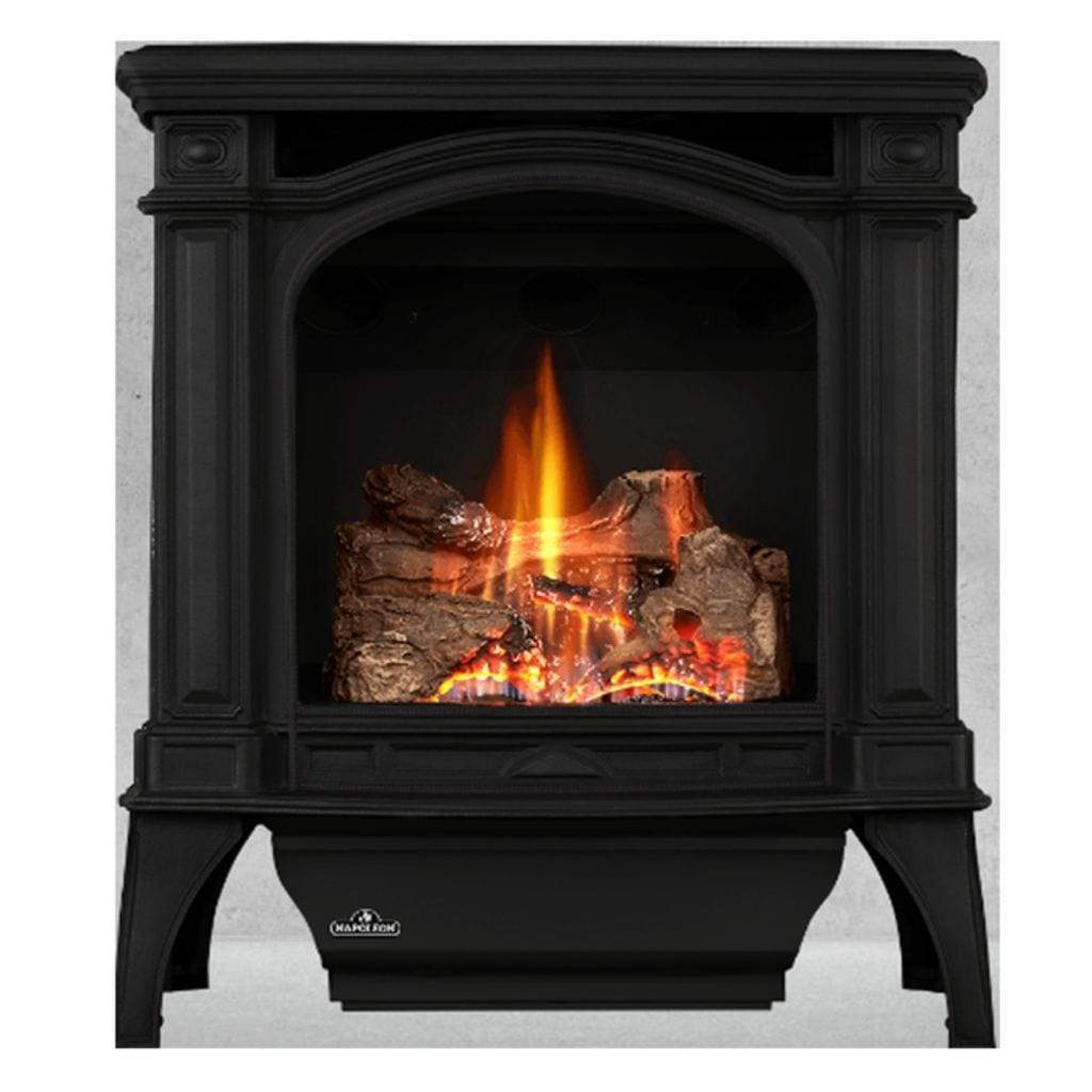 プヤ ベルテロニアナ B プヤ ベルテロニアナ B プヤ ベルテロニアナ B 種子] プヤ