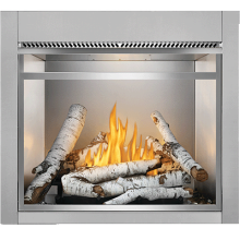 Napoleon Premium Screen Kit With 1" Stainless Steel Frame for 36" Riverside Fireplace