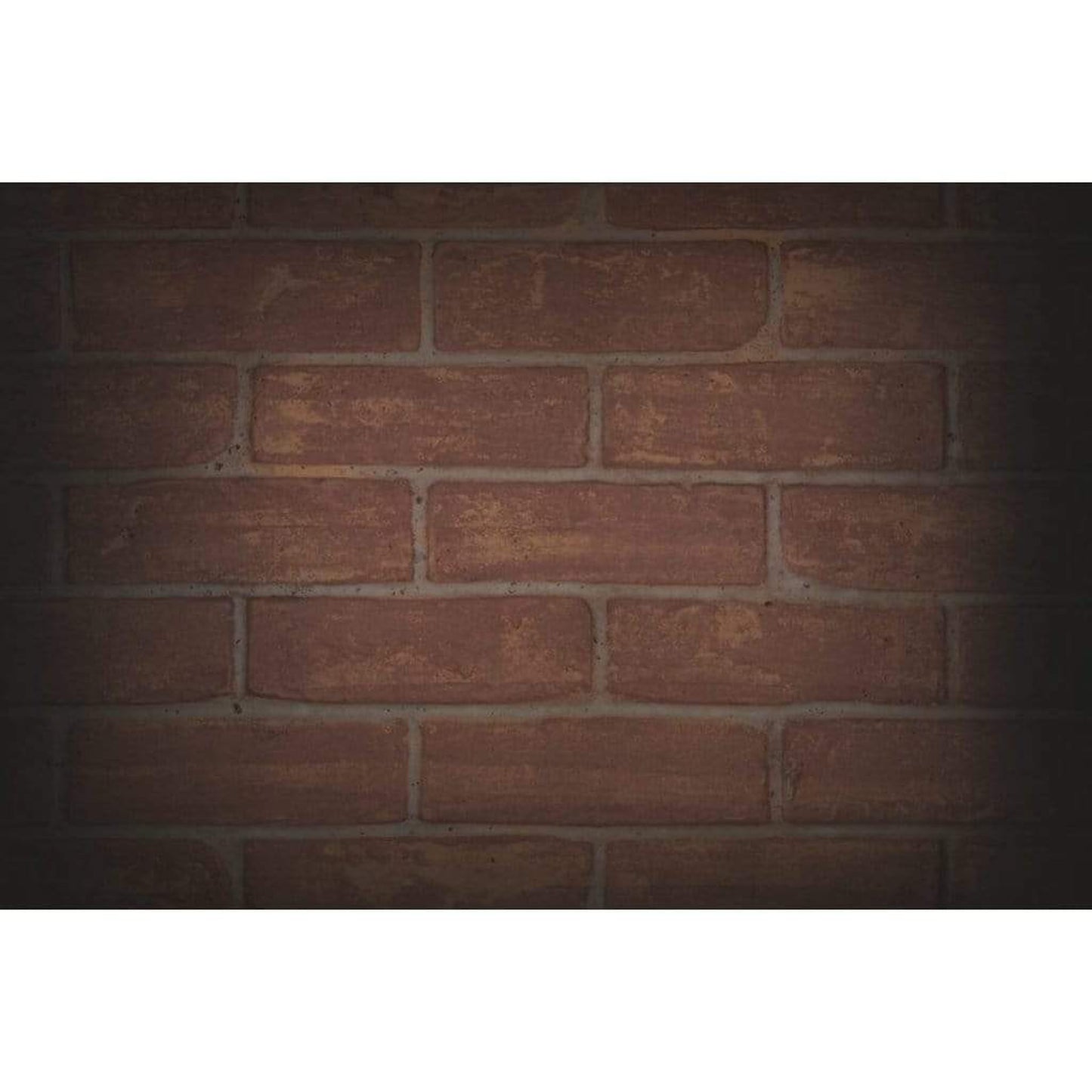 Napoleon Riverside 42 Clean Face Outdoor Gas Fireplace