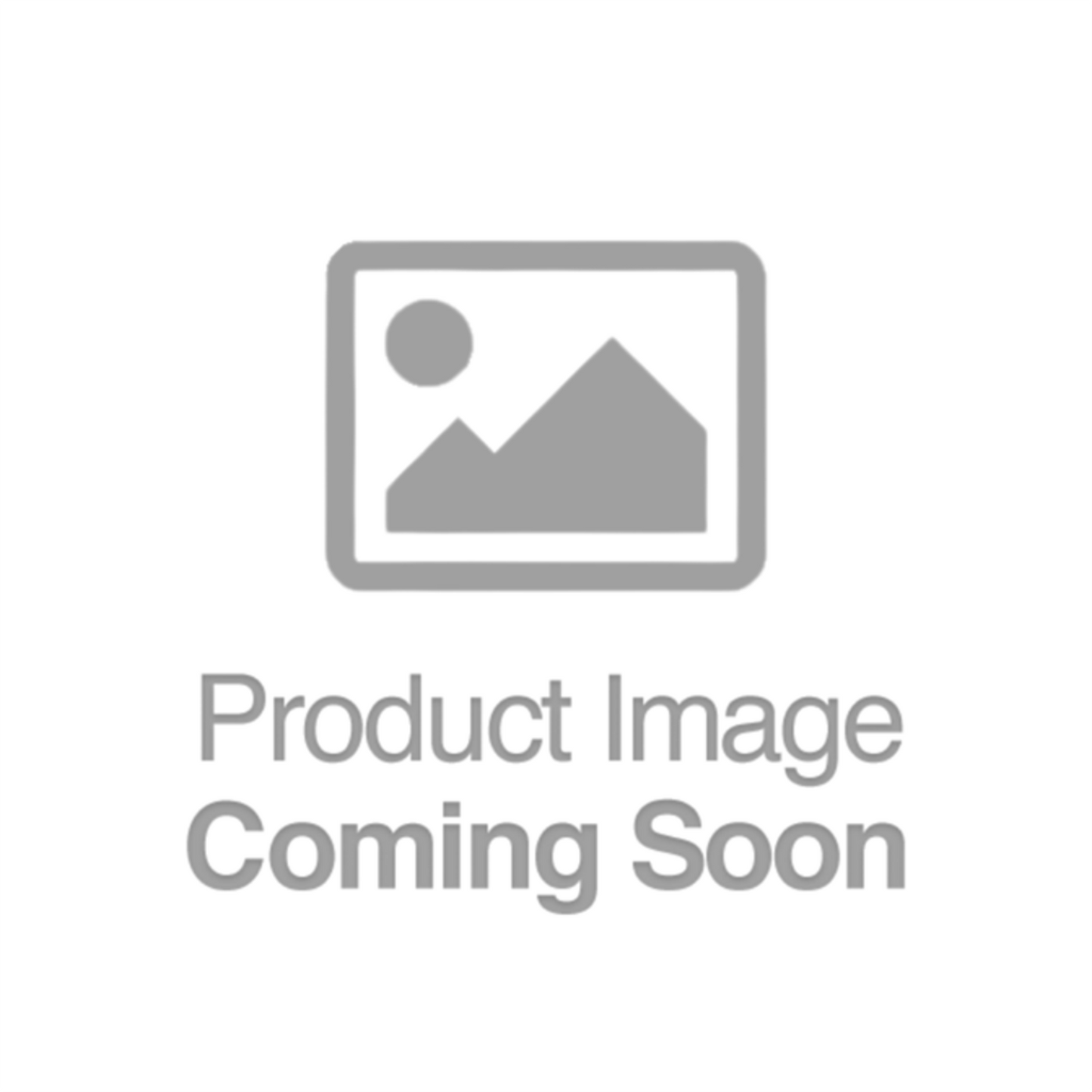 Rasmussen ODS-VEI-CS Pilot Assembly and Bracket for VEI with CS Burner