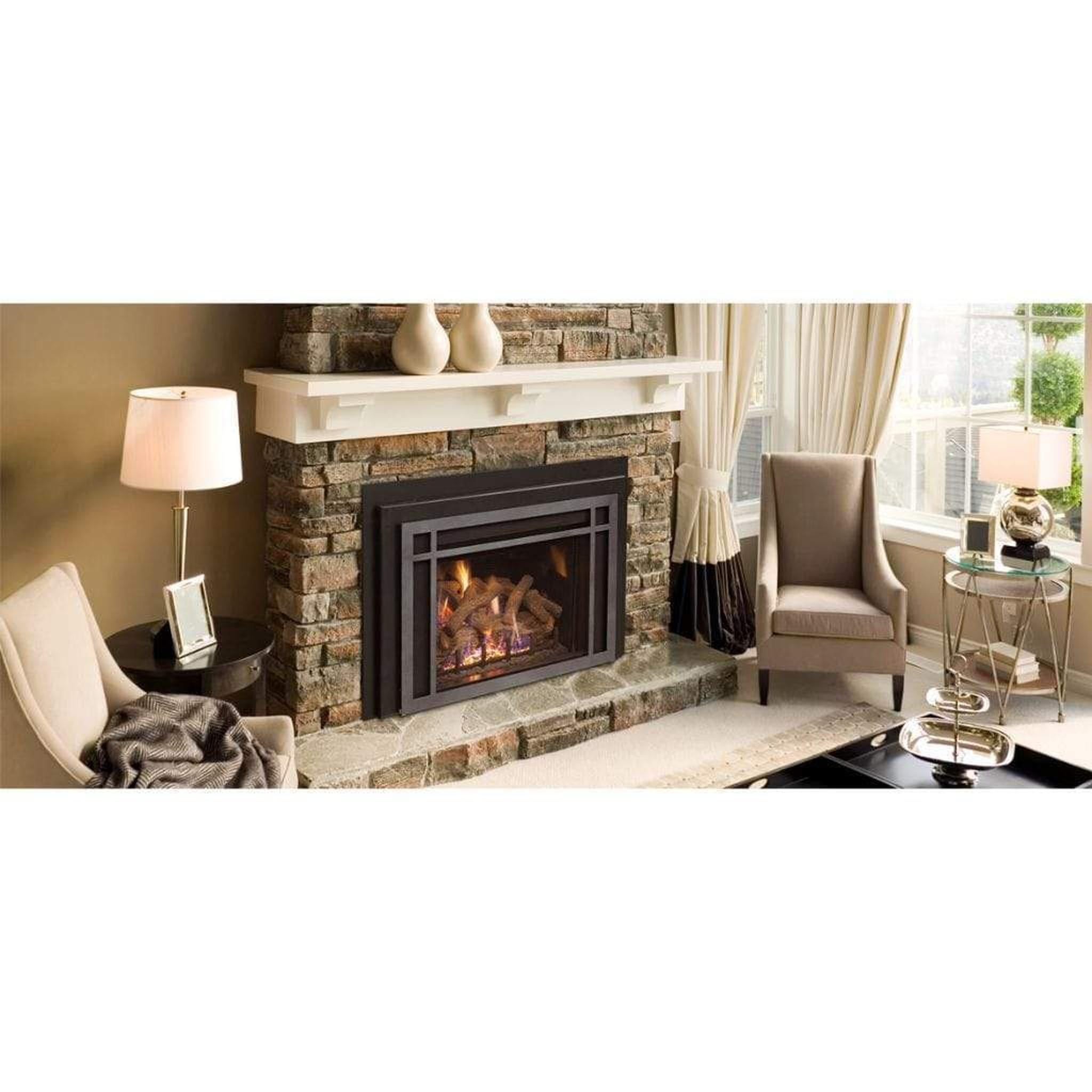 8+ Gas Fireplace Insert Direct Vent Real Fyre DVI-30-11-33 iSeries Direct Vent Gas Inserts (IPI) Deluxe Tr