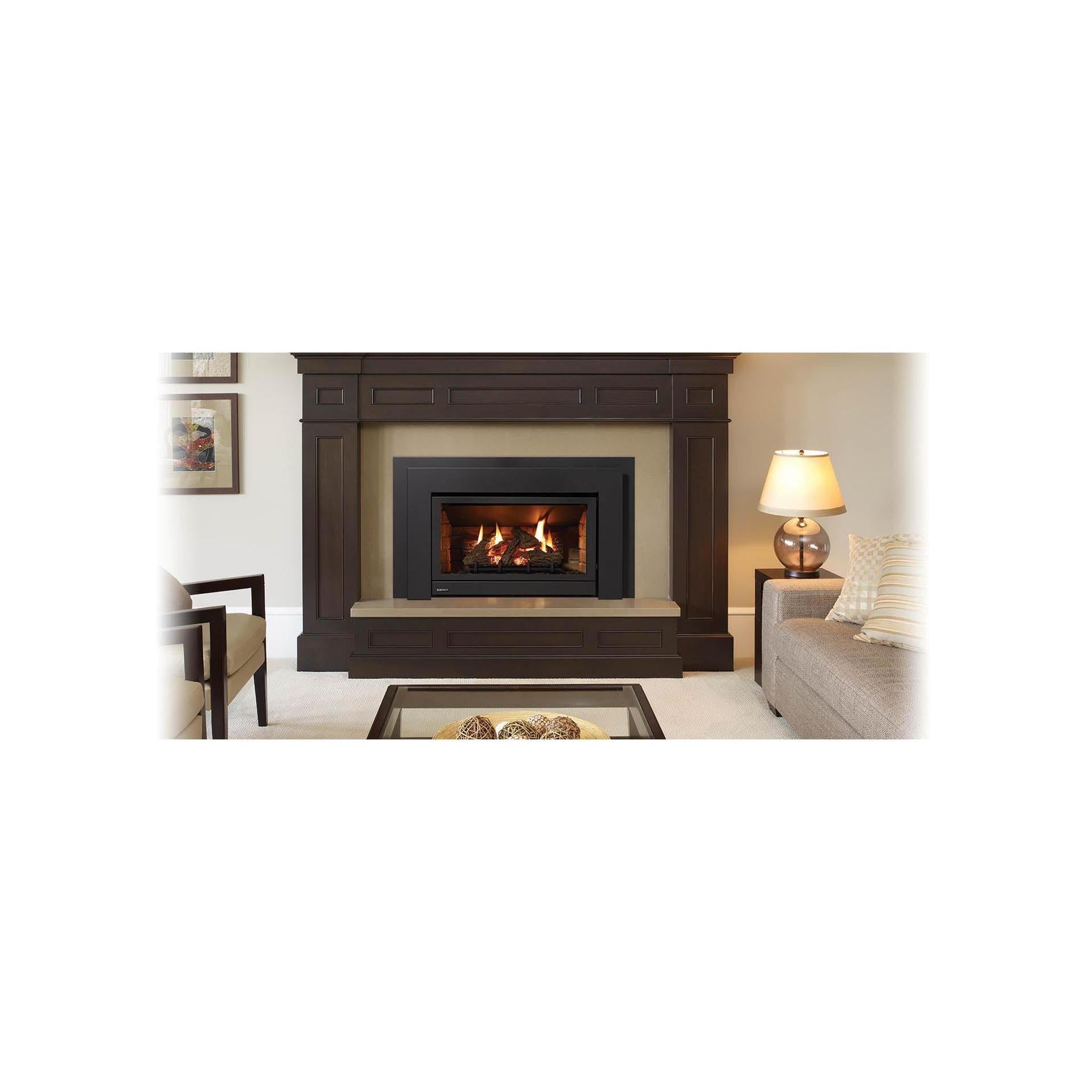 Regency Energy U31 26 B-Vent Natural Gas Inserts – US Fireplace Store