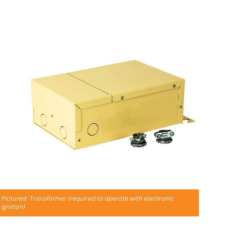 Tempest Torch 50K 33" Black Propane Gas Decorative Outdoor Lantern Head