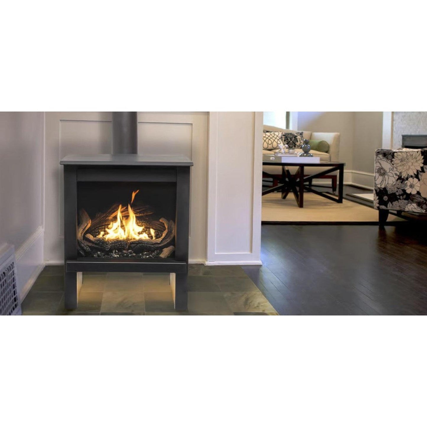 True North TN24 25" Black Direct Vent Free Standing Gas Stove