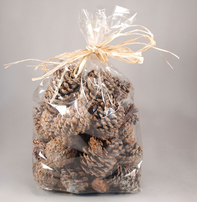Goods of the Woods 2 lb Magical Color Cones Large Cello Bag