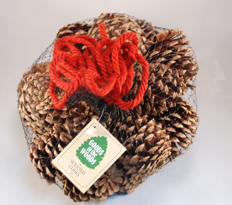 Goods of the Woods 1 lb Cinnamon Scented Cones Bag