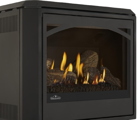 Napoleon Arched Glass Door for Havelock Elite Stove