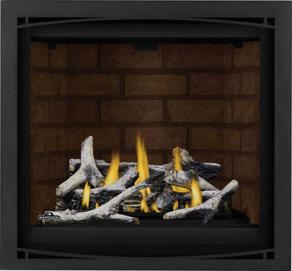 Napoleon Altitude X 36" Electronic Ignition, Natural Gas Direct Vent Fireplace