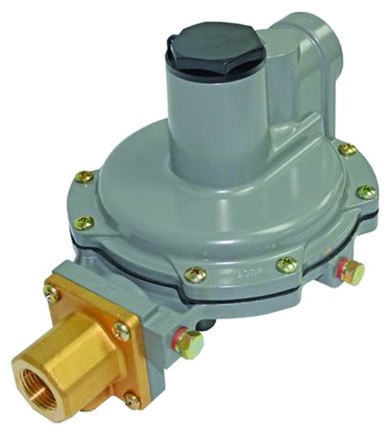 Blackmer 331927 WIth Oil Seal Fireplace