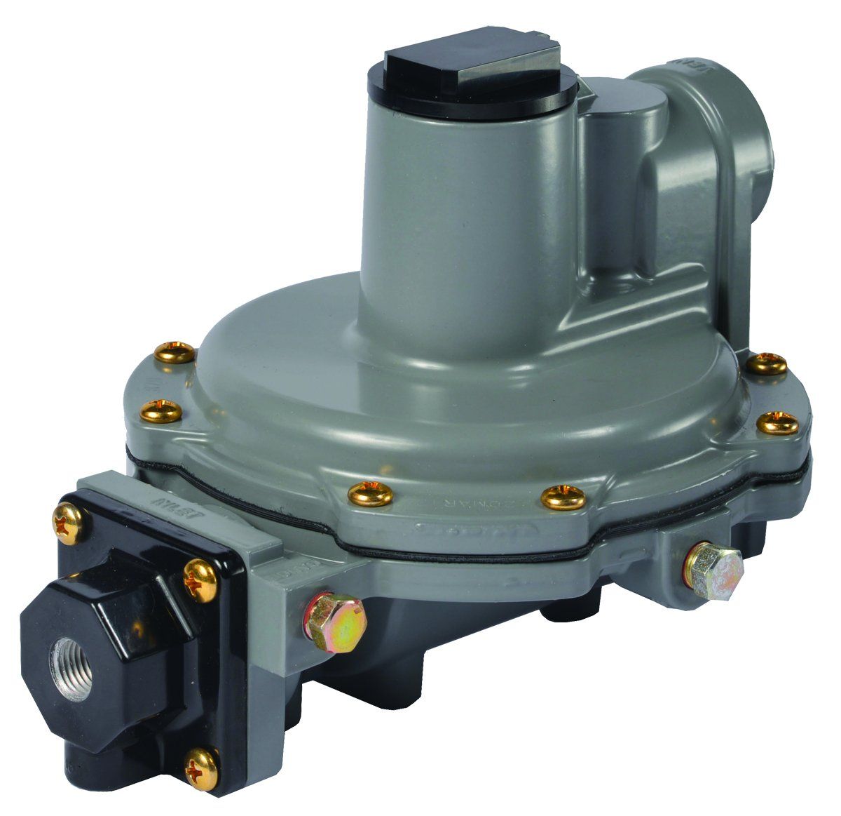 Blackmer 331927 WIth Oil Seal Fireplace