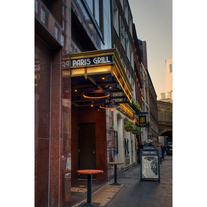 Bromic Heating Eclipse Smart-Heat 28" 2900 Watt 208V Electric Heater With Twin Pole