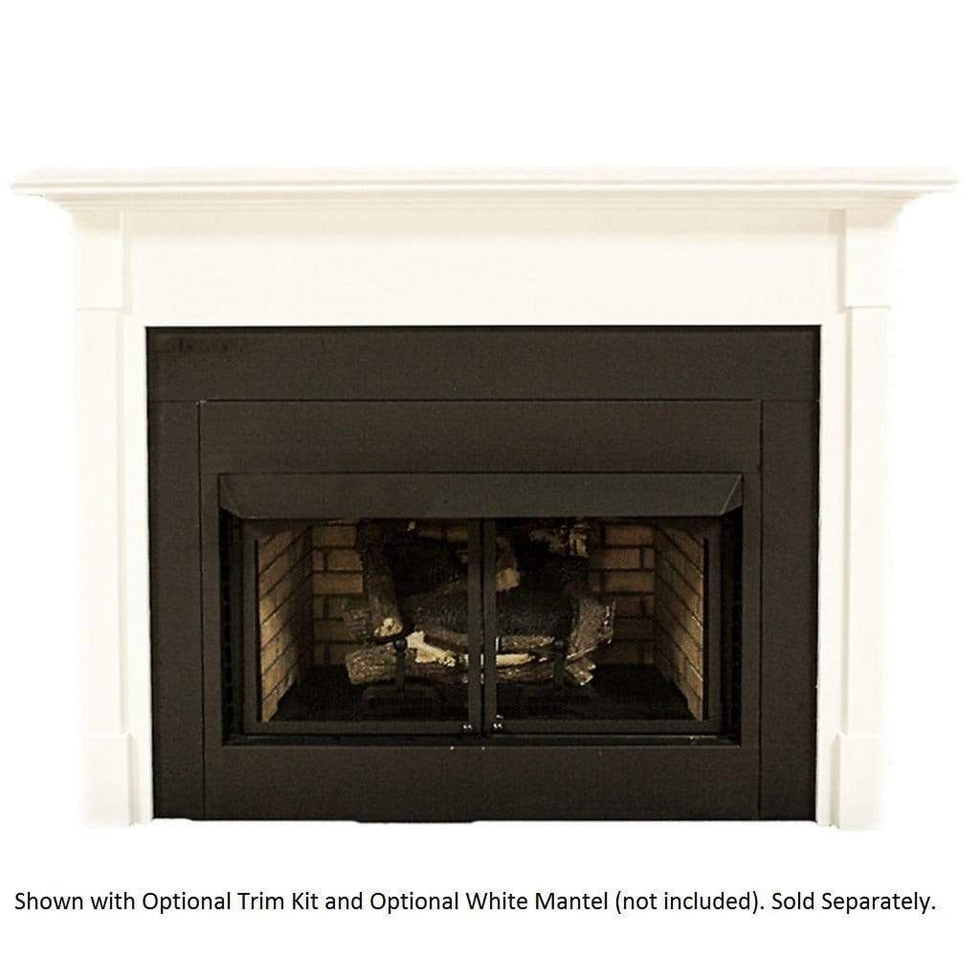 Buck Stove Builder Series Model ZCBBXL 42" Vent Free Gas Firebox With EmberVision 100 Natural Gas Oak Log