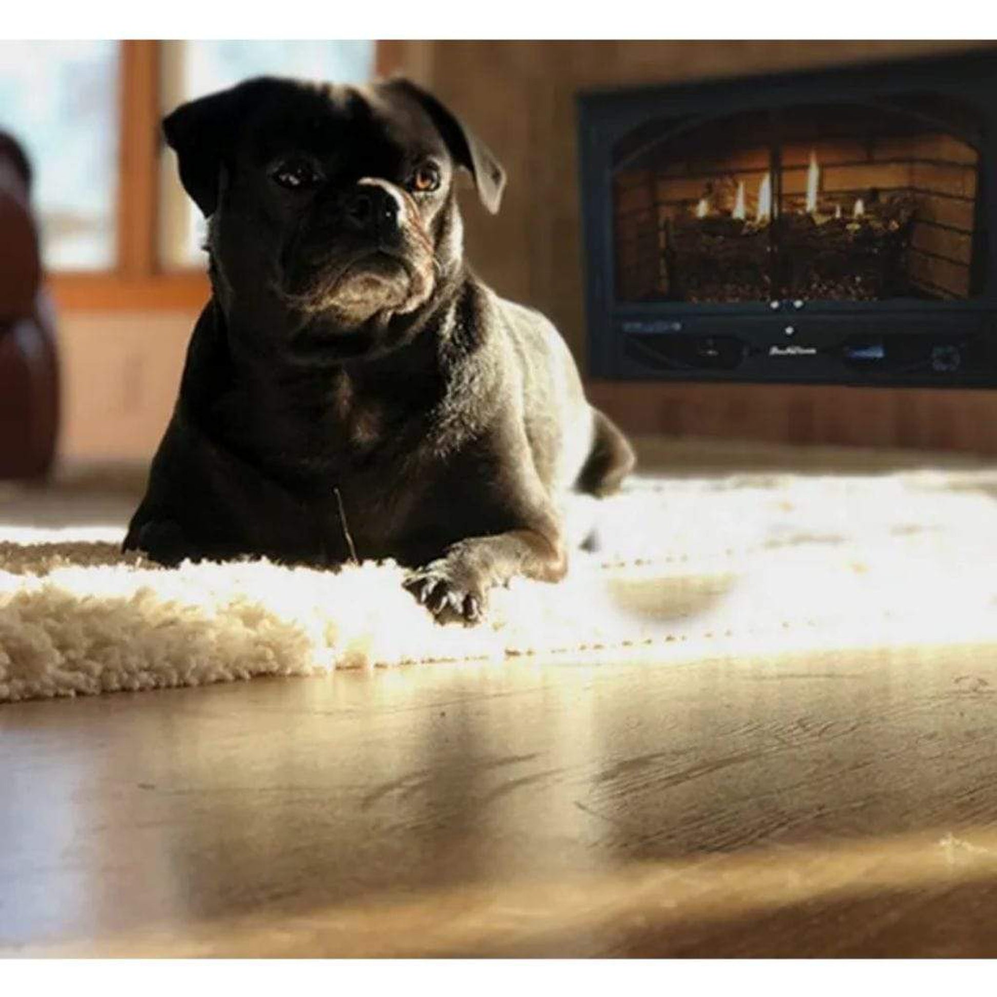 Buck Stove Model 384 32" W x 24" H Vent Free Liquid Propane Gas Stove