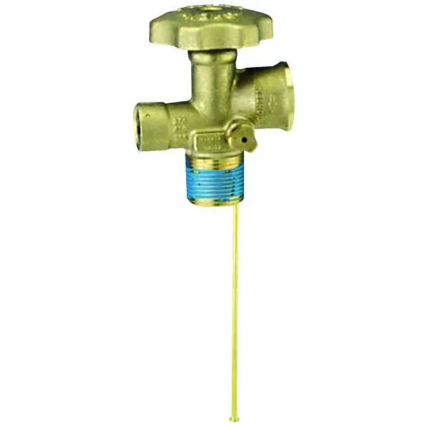 Cavagna 80.5016-10.6 100lb Dip Tube Service Valve Accessory