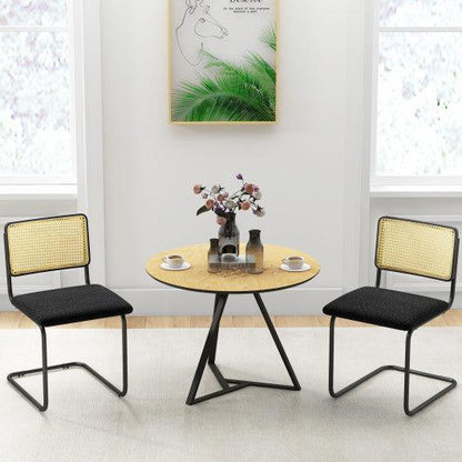 Costway 2 Pieces Black Mid-Century Modern Dining Chair with Cantilever Design