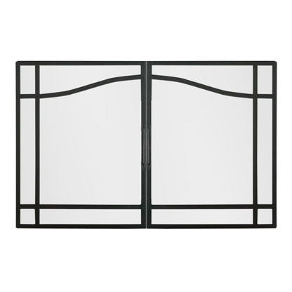Dimplex 35" Glass Swing Door Kit for BF39DXP & BF39STP Fireboxes