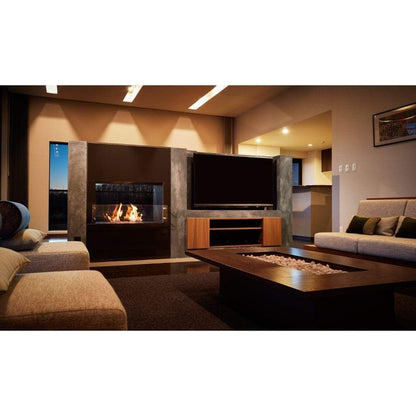 EcoSmart Fire 39" Flex 32DB Double Sided Ethanol Fireplace Insert by Mad Design Group