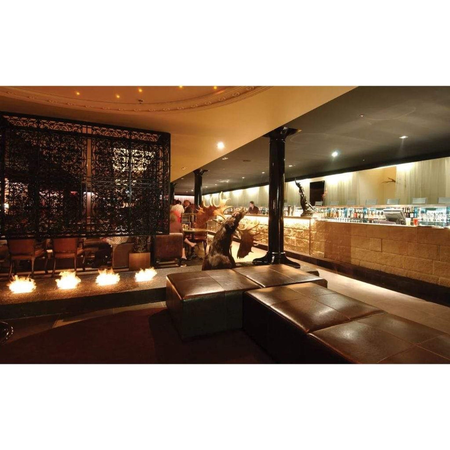 EcoSmart Fire BK5 16" Stainless Steel Ethanol Fireplace Burner by Mad Design Group