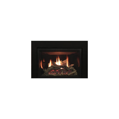 Empire 30" Rushmore Clean Face Direct Vent Fireplace Insert