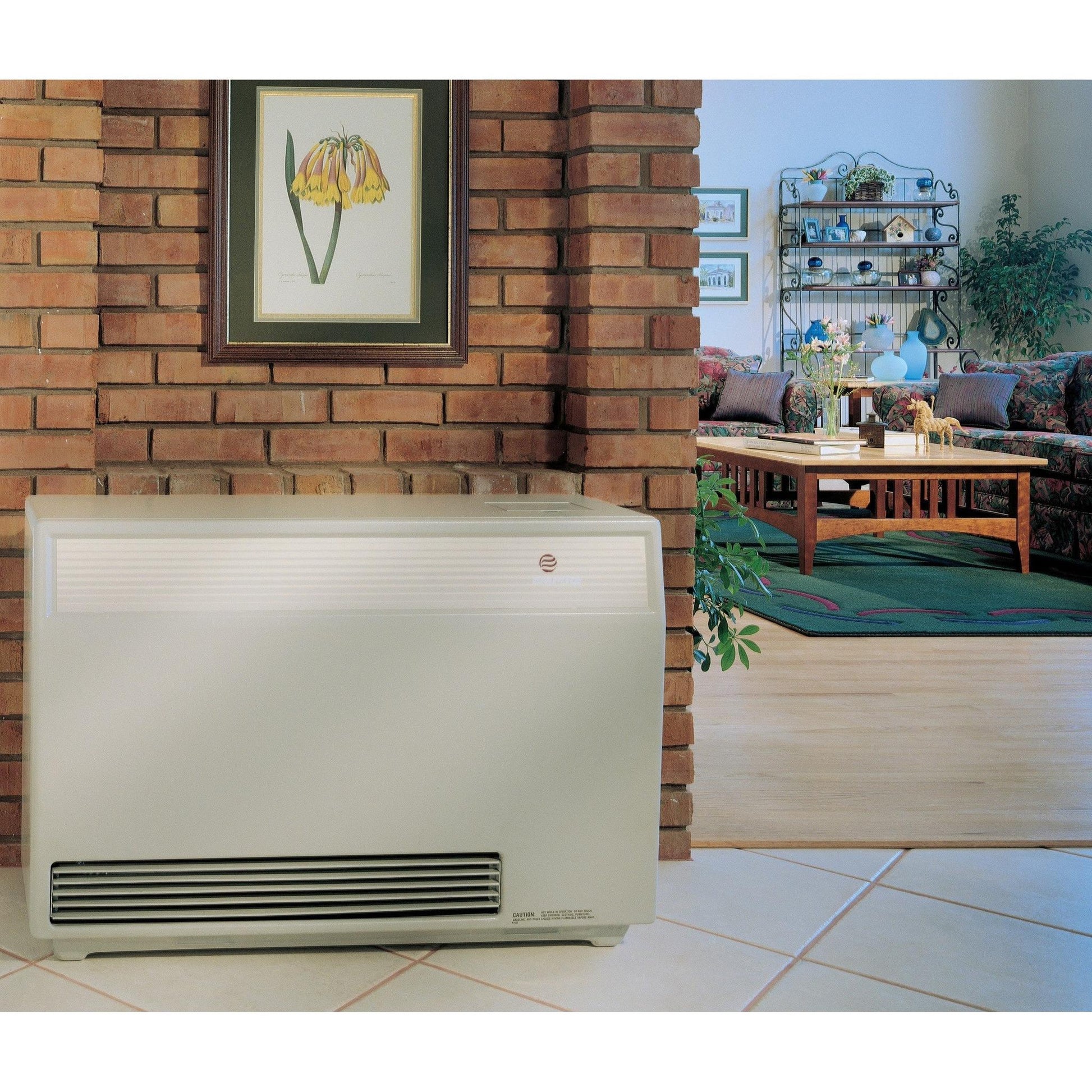 Gas Furnace Direct Vent Wall Heaters Cozy Wall Heater Pilot Light