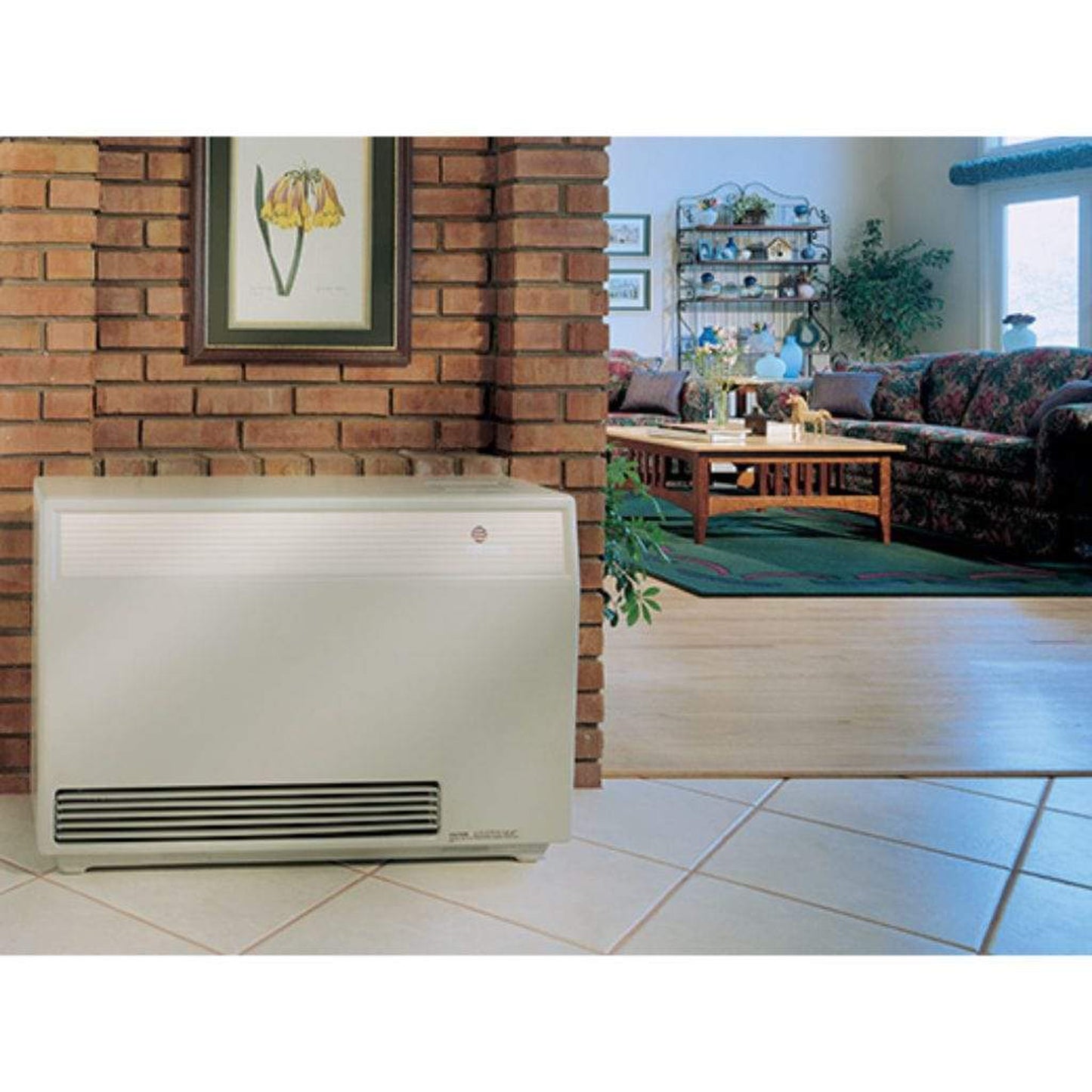 EMPIRE DV55E 55000 BTU High Efficient Direct Vent Wall Furnace – US  Fireplace Store