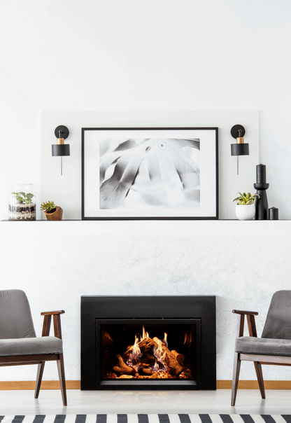 Empire Rainier 34" Intermittent Pilot Control With On/Off Switch, Liquid Propane Direct Vent Fireplace Insert