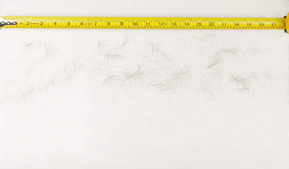 Enhance A Fire 24-Pack 1 Gram Neon Embers for Indoor Gas Logs and DV Gas Fireplace