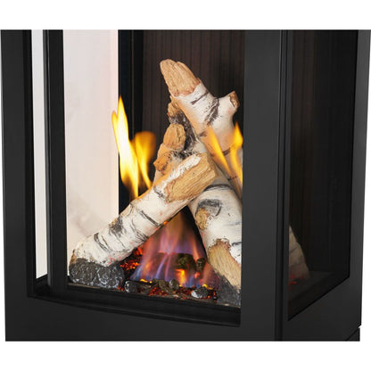 Napoleon Elora Black Direct Vent 3-Sided Natural Gas Hybrid Stove