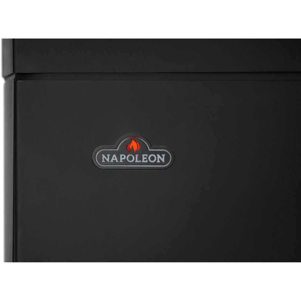Napoleon Elora Black Direct Vent 3-Sided Natural Gas Hybrid Stove