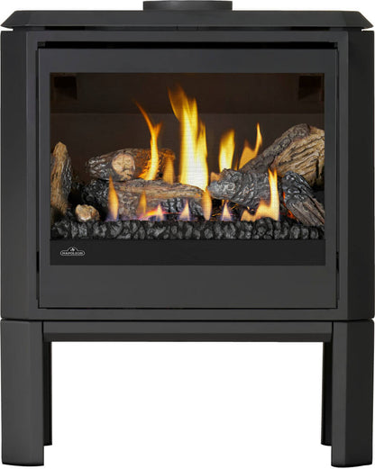 Napoleon Havelock Elite 28" Black Direct Vent Natural Gas Stove