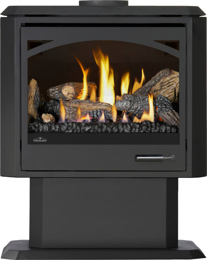Napoleon Havelock Elite 28" Black Direct Vent Natural Gas Stove