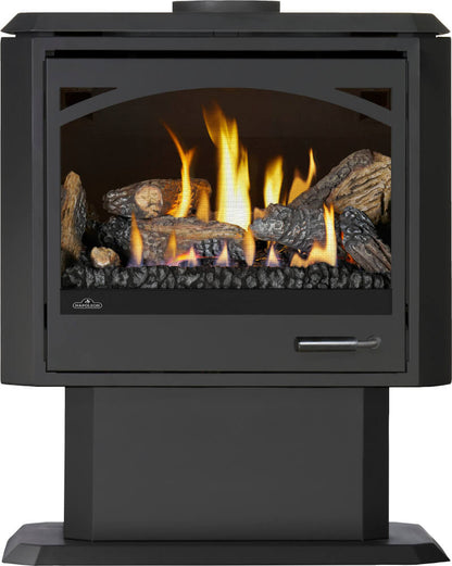 Napoleon Havelock Elite 28" Black Direct Vent Natural Gas Stove