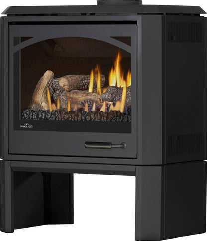 Napoleon Havelock Elite 28" Black Direct Vent Natural Gas Stove