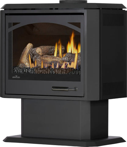 Napoleon Havelock Elite 28" Black Direct Vent Natural Gas Stove