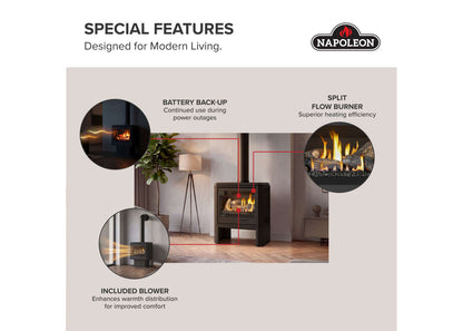 Napoleon Havelock Elite 28" Black Direct Vent Natural Gas Stove