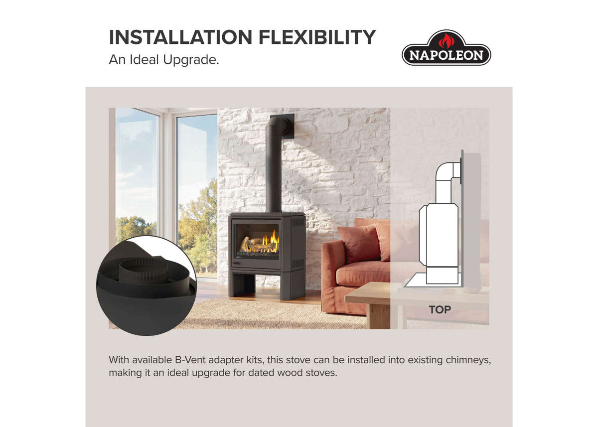 Napoleon Havelock Elite 28" Black Direct Vent Natural Gas Stove