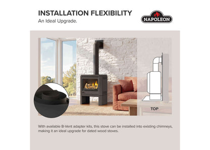 Napoleon Havelock Elite 28" Black Direct Vent Natural Gas Stove