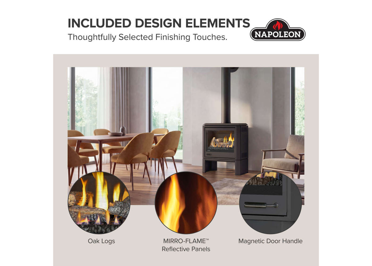 Napoleon Havelock Elite 28" Black Direct Vent Natural Gas Stove