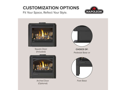Napoleon Havelock Elite 28" Black Direct Vent Natural Gas Stove