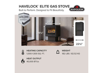 Napoleon Havelock Elite 28" Black Direct Vent Natural Gas Stove