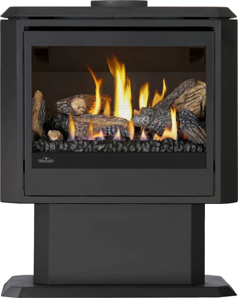 Napoleon Havelock Elite 28" Black Direct Vent Natural Gas Stove
